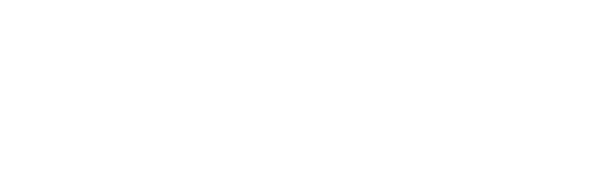 Prime Tint & PPF logo