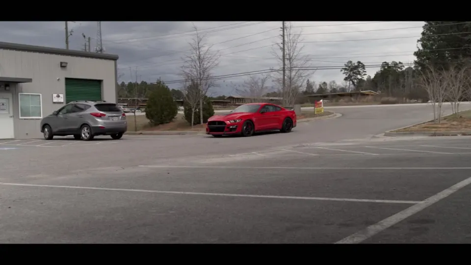 Tint Wrap Protection Plus · image from the official website