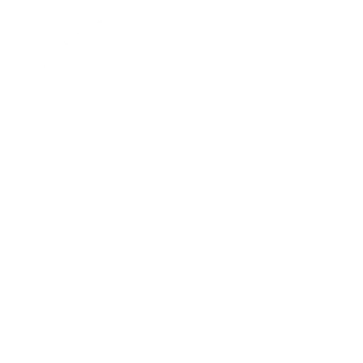 Texas Elite Tint & Glass logo