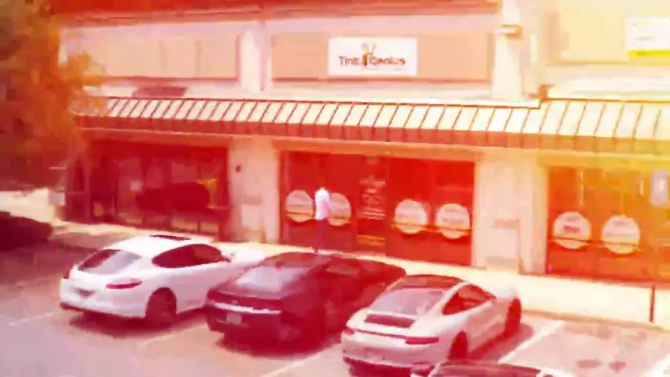 Tint Genius · image from the official website