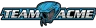 Team Acme Inc. logo