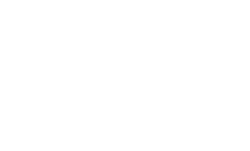 Waxed Pro Detailing logo
